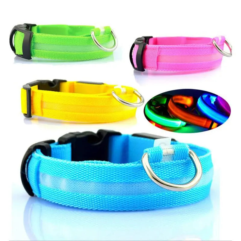 Pet Led Collar IllumiWave