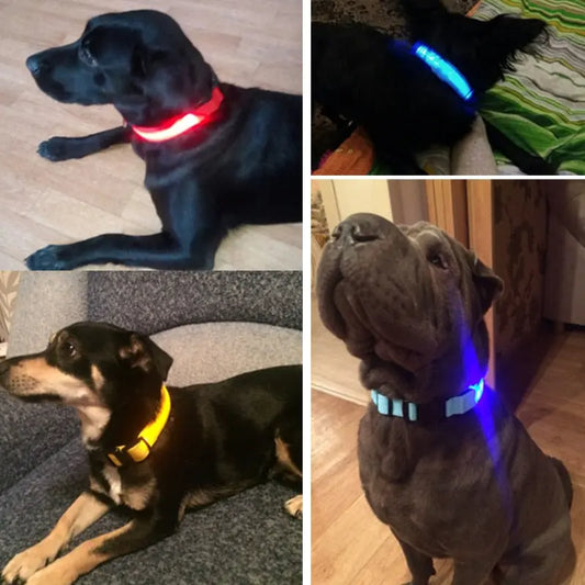 Pet Led Collar IllumiWave