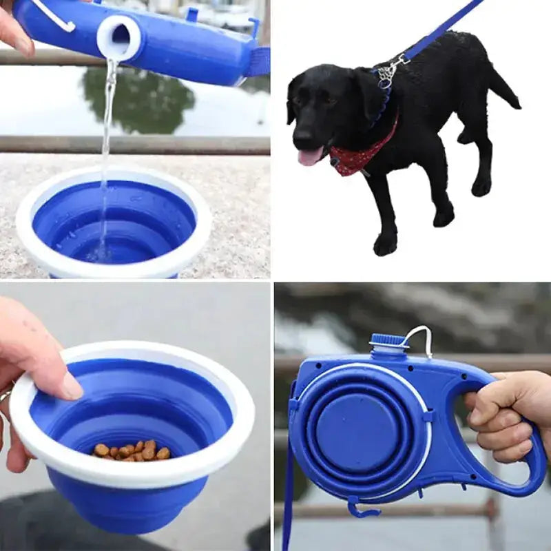 Pet Supplies With Water Bottle, Cup, Pet Rope IllumiWave